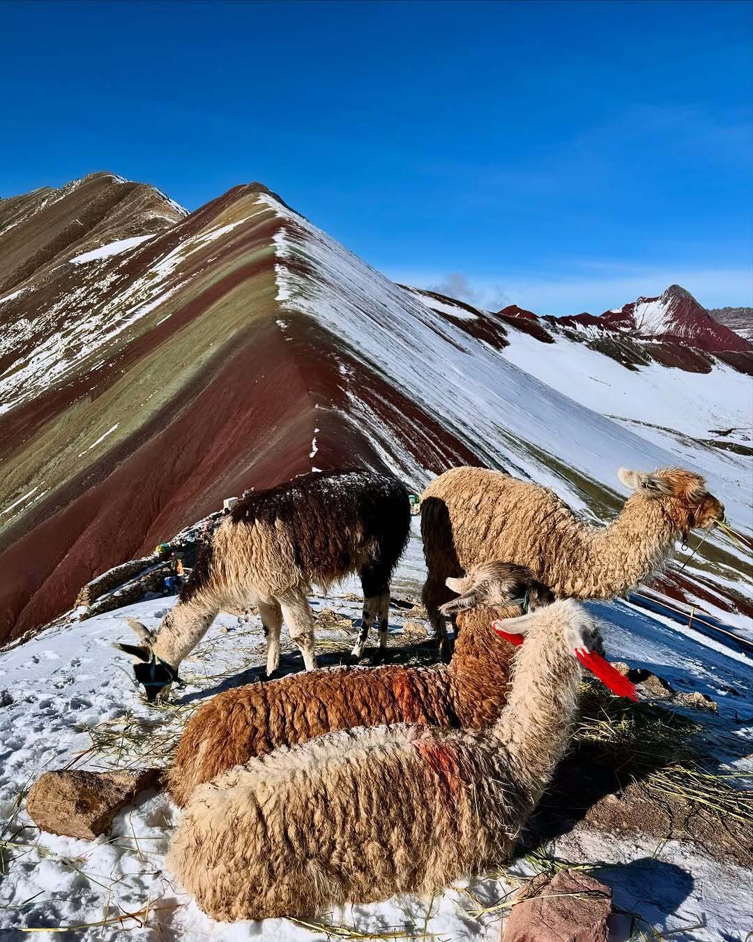 Rainbow mountain, vinicunca